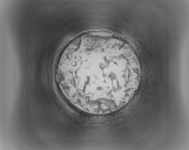 X0000111180145200907291150