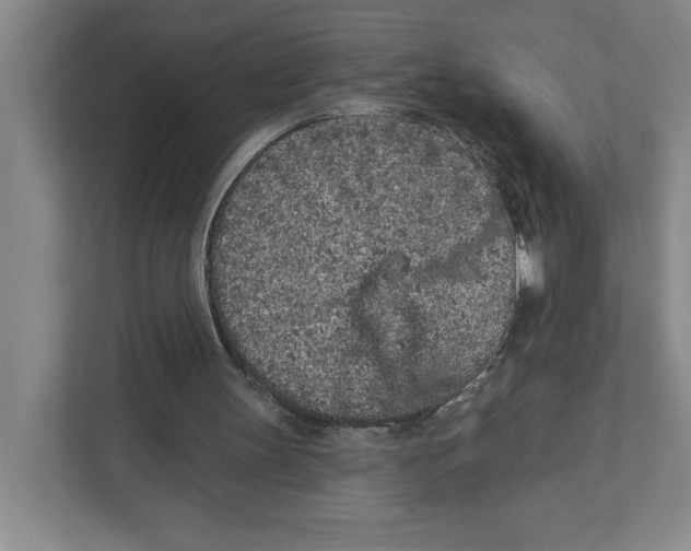 X0000111180147200907291150