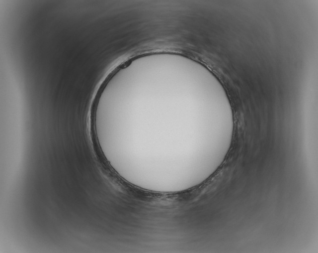 X0000111180148200907291150