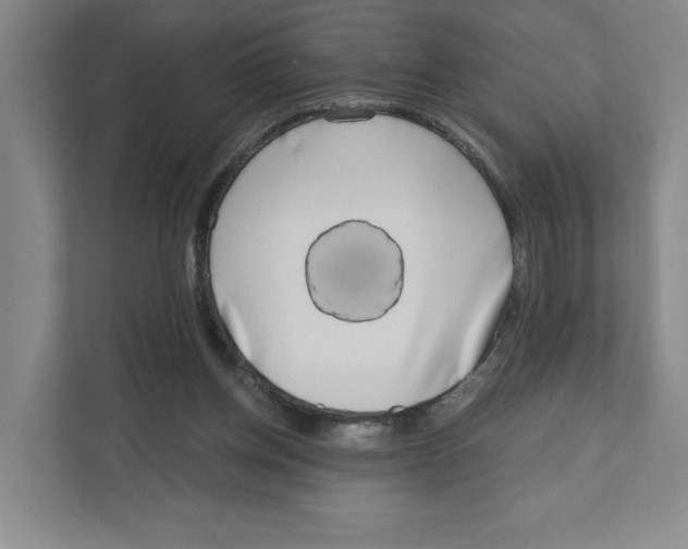 X0000111180158200907291150