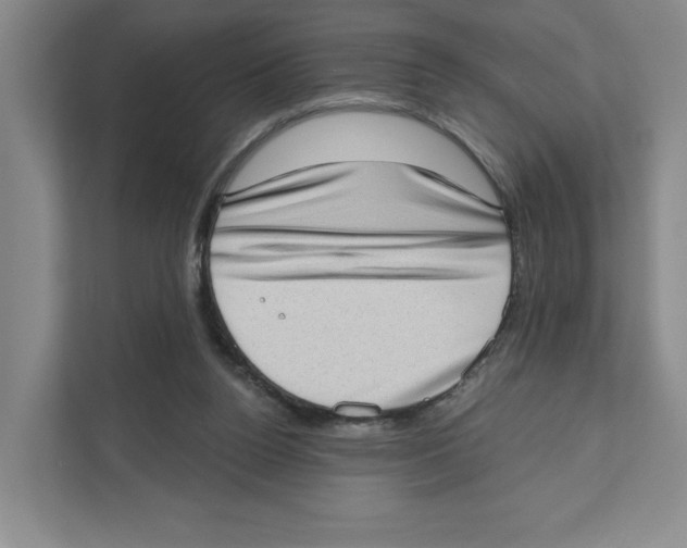 X0000111180160200907291150