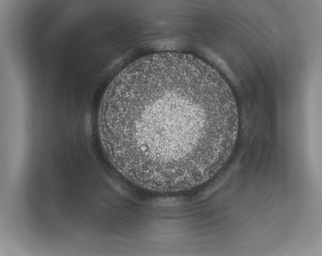 X0000111180161200907291150