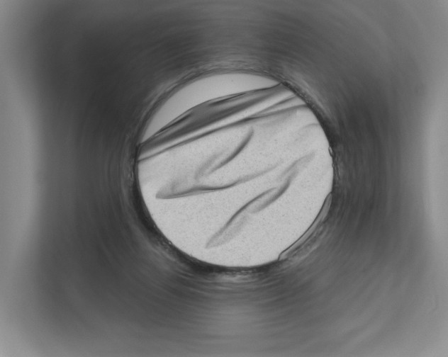 X0000111180164200907291150