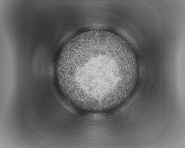 X0000111180165200907291150