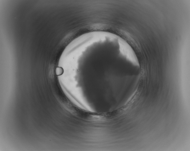 X0000111180167200907291150