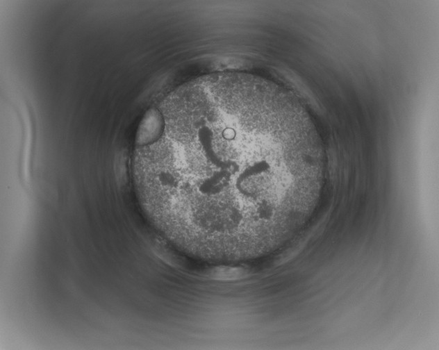 X0000111180169200907291150