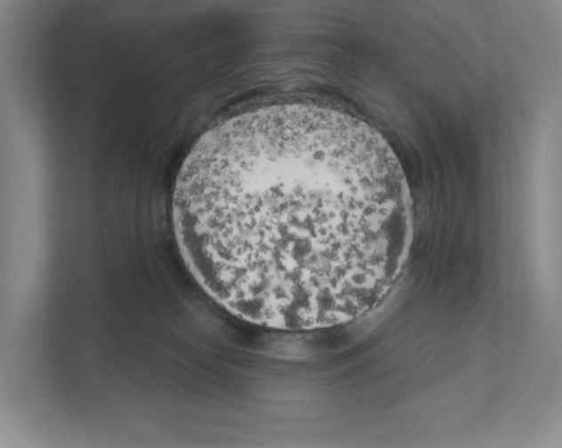 X0000111180182200907291150