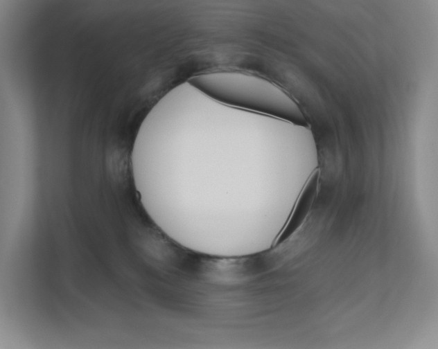 X0000111180184200907291151