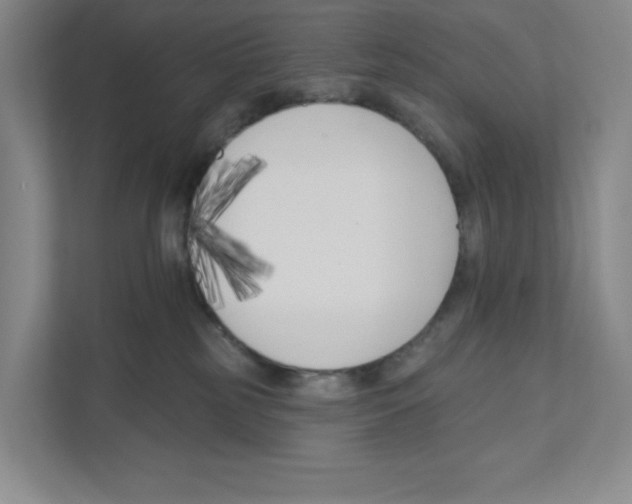 X0000111180185200907291151