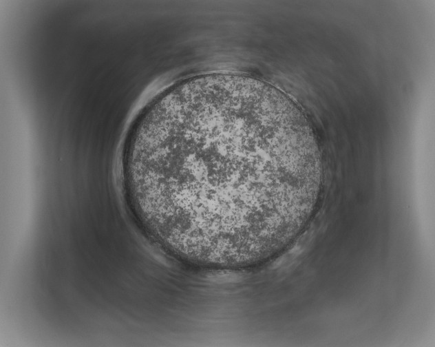 X0000111180198200907291150