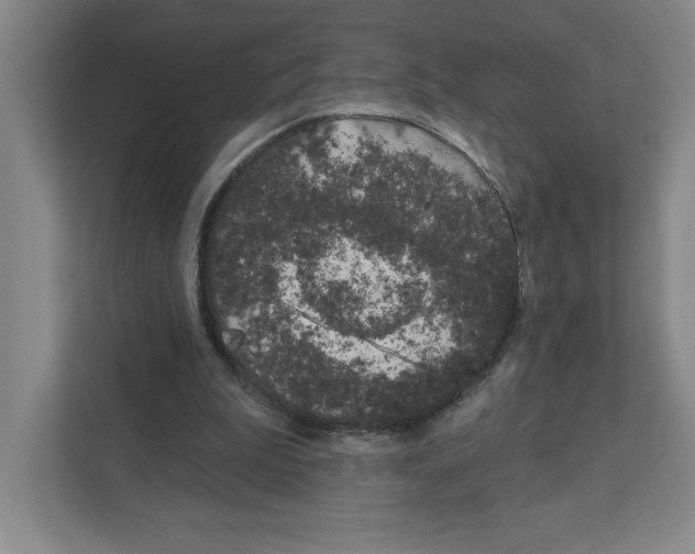 X0000111180199200907291150