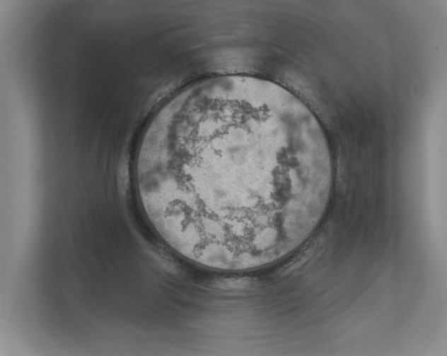 X0000111180202200907291150