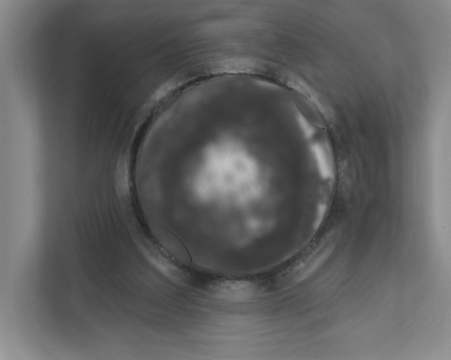 X0000111180203200907291150