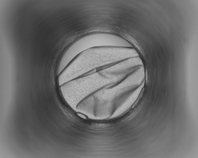 X0000111180205200907291150