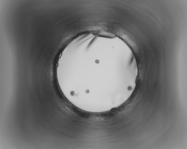 X0000111180207200907291150