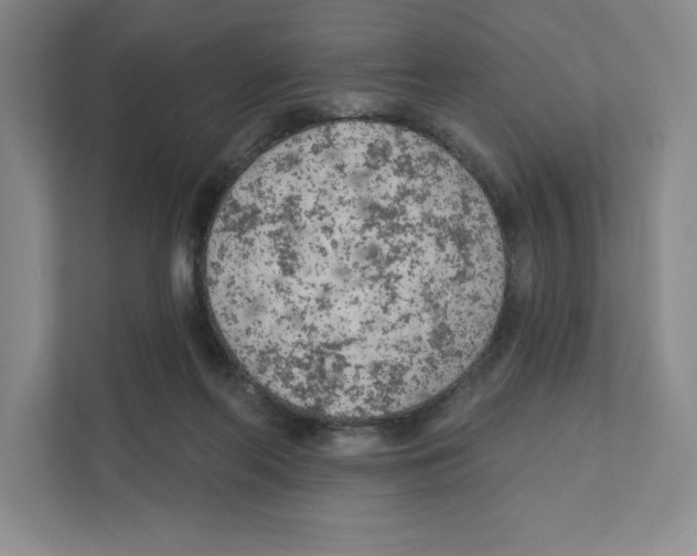 X0000111180214200907291150