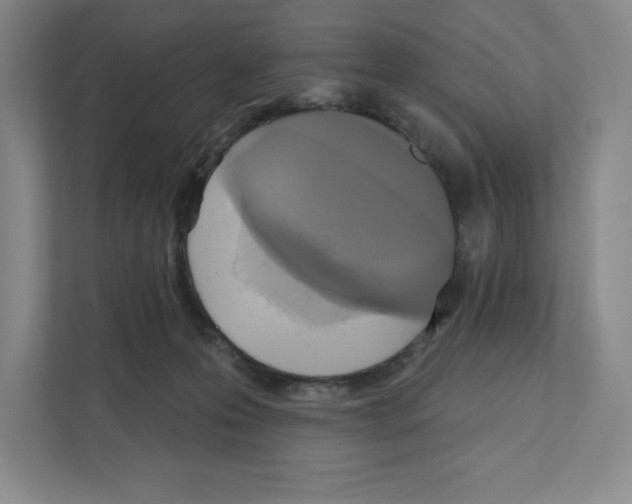 X0000111180223200907291150