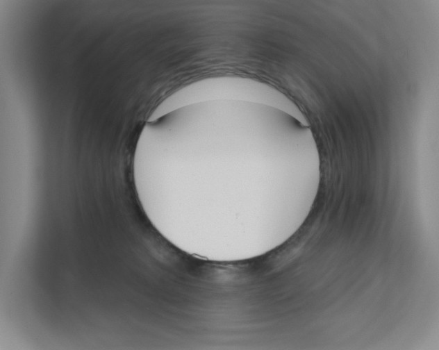 X0000111180229200907291150