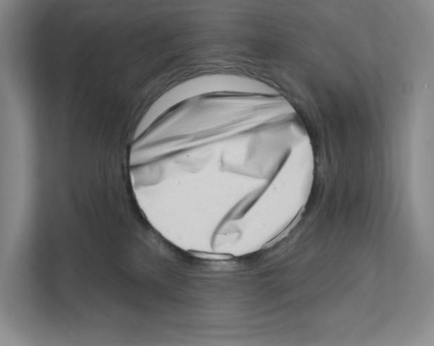 X0000111180233200907291149