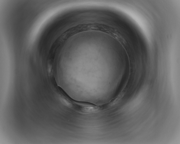 X0000111180239200907291149