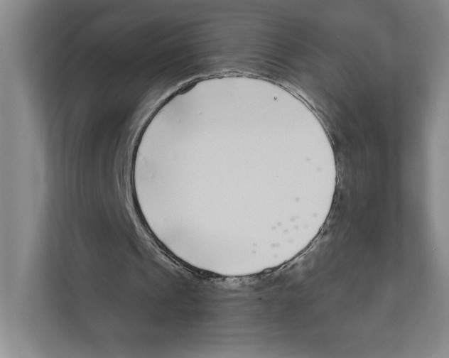 X0000111180241200907291149