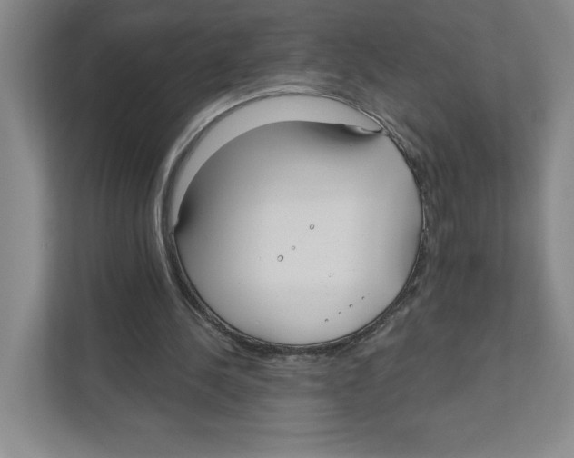 X0000111180244200907291149