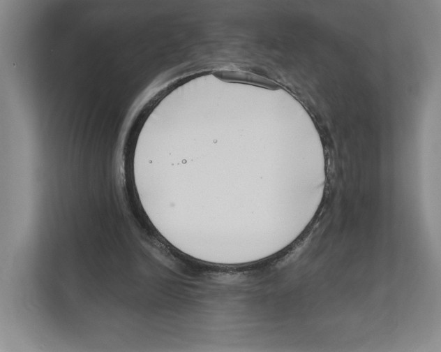 X0000111180246200907291149