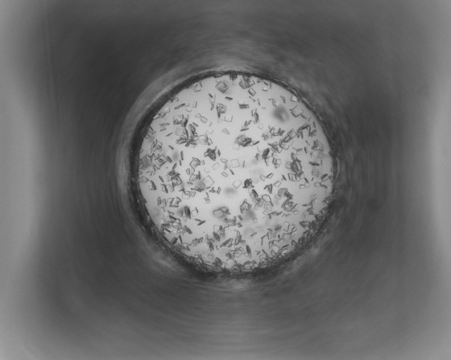 X0000111180247200907291149