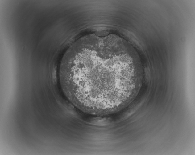 X0000111180267200907291149