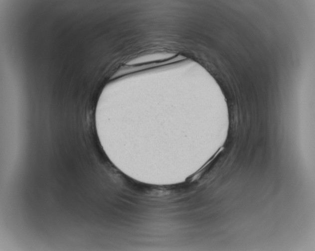 X0000111180276200907291149