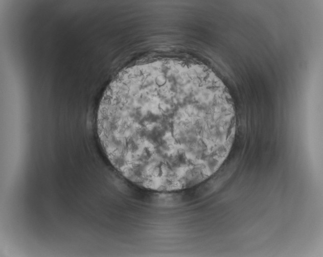 X0000111180277200907291149