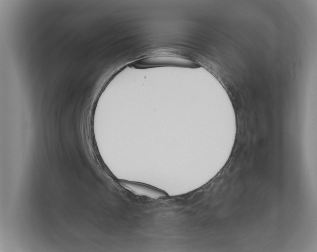 X0000111180289200907291149