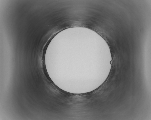 X0000111180290200907291149