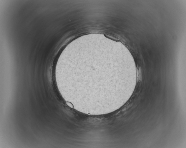 X0000111180291200907291149