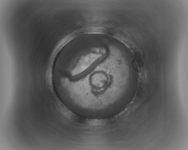 X0000111180293200907291149