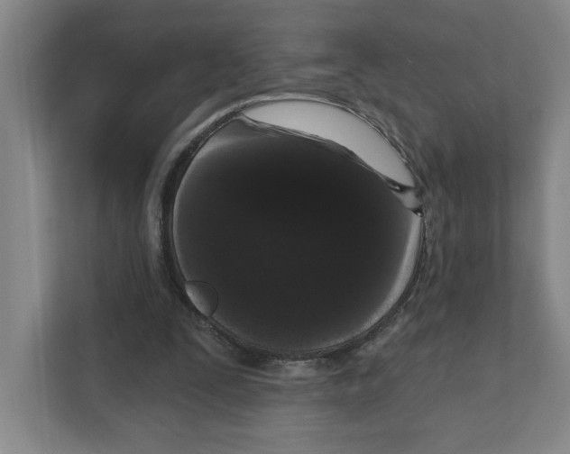 X0000111180295200907291149