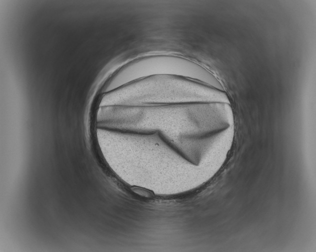 X0000111180296200907291149