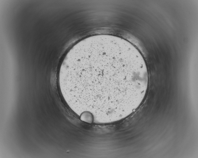 X0000111180297200907291149