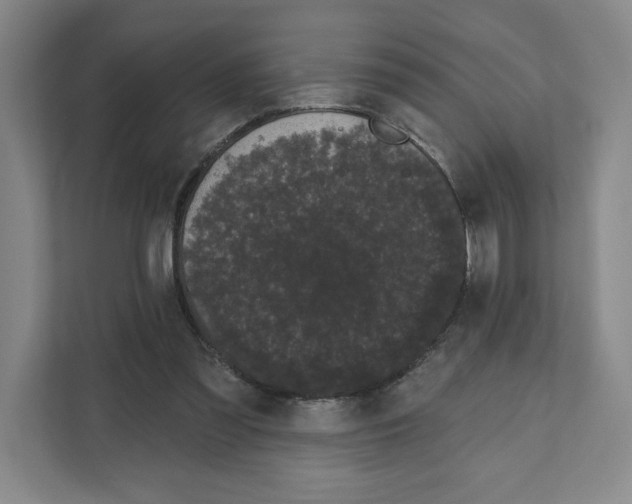 X0000111180301200907291149