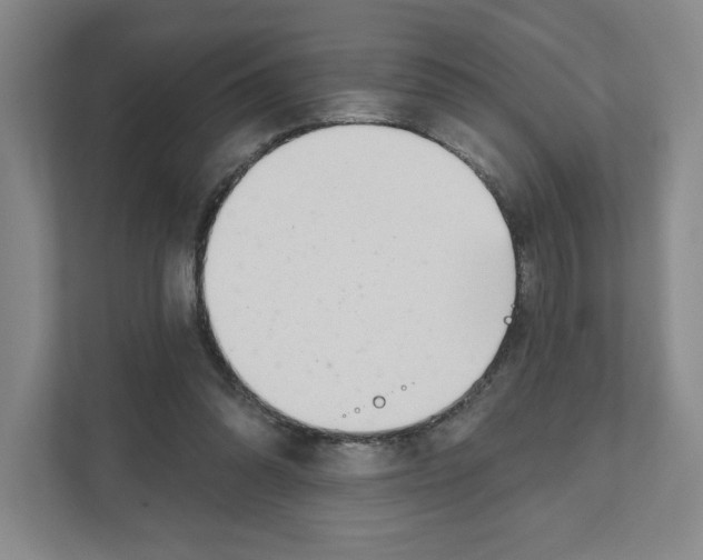 X0000111180302200907291149