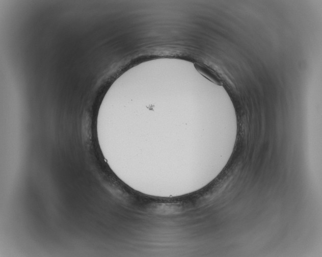 X0000111180303200907291149