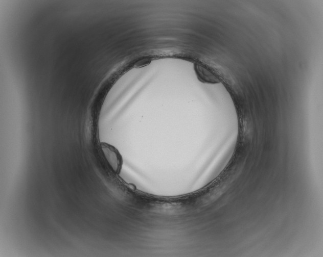 X0000111180304200907291149