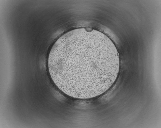 X0000111180305200907291149