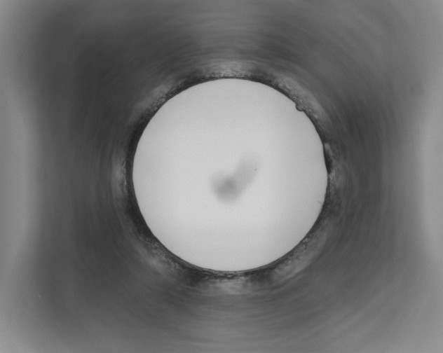 X0000111180306200907291149