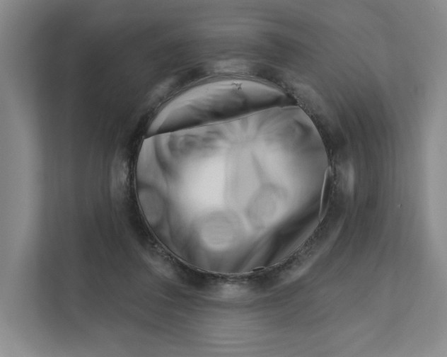 X0000111180308200907291148