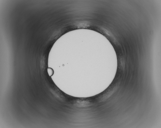 X0000111180311200907291148