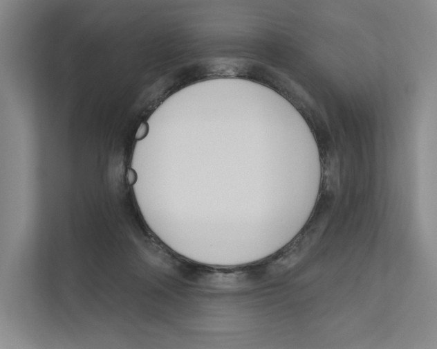 X0000111180314200907291148