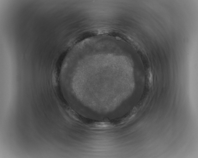 X0000111180316200907291148