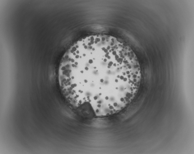 X0000111180320200907291148