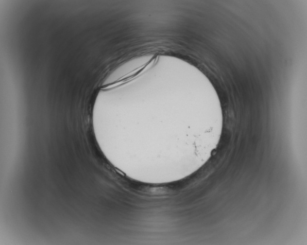 X0000111180324200907291148